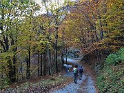95 Splendidi colori d'autunno anche sulla strada del rientro